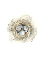 Nest (sold)